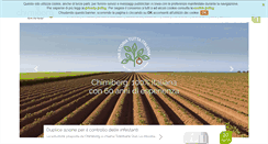 Desktop Screenshot of chimiberg.com